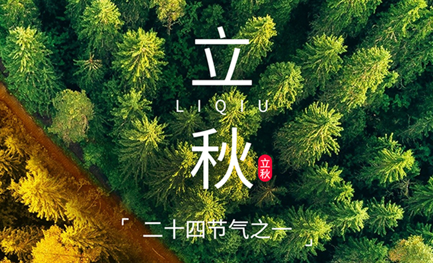 福天輥筒丨夏未盡，秋已至